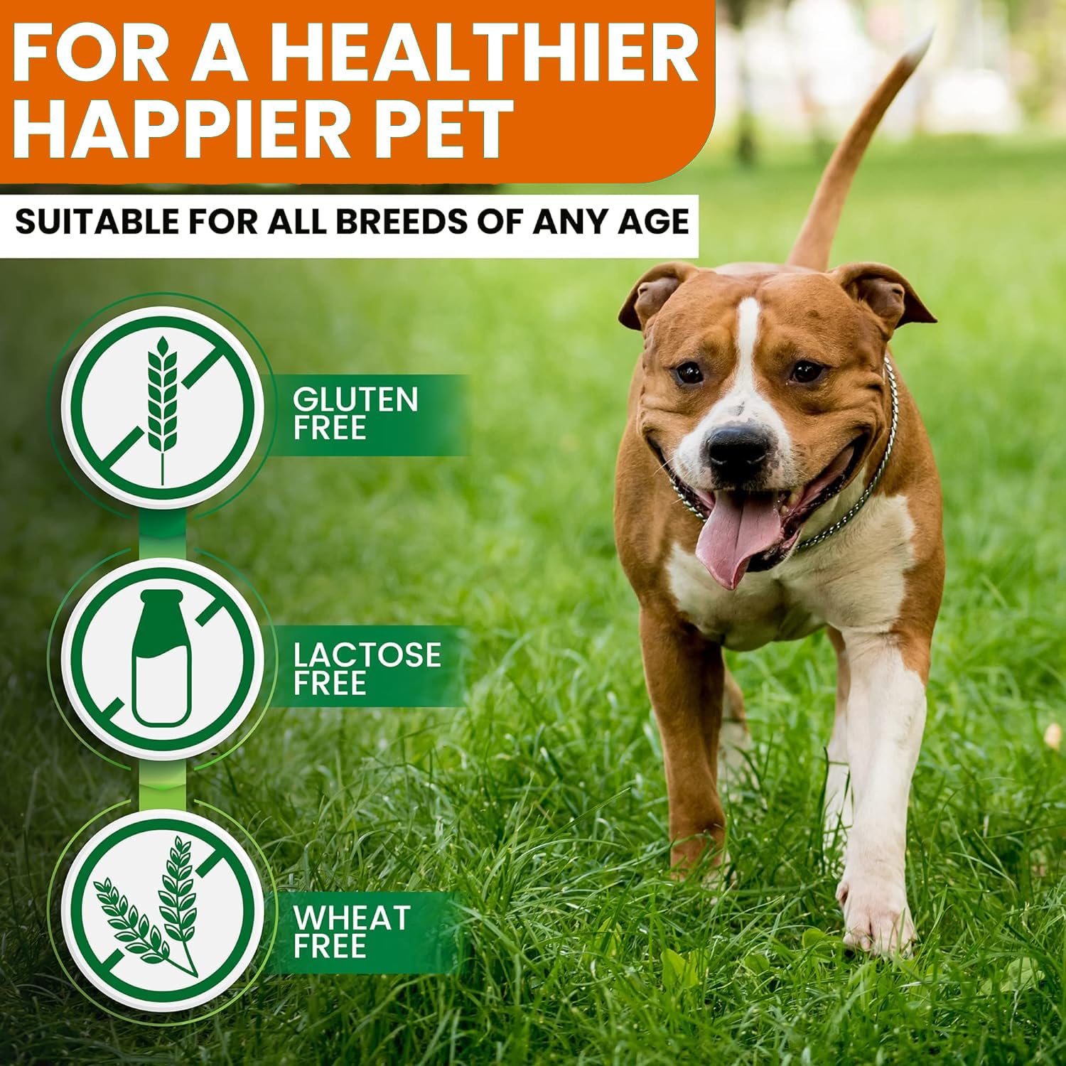Zenpaws Turmeric for Dogs packaging with safety highlights and clear ingredients