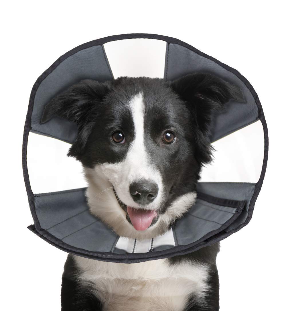 ZenPet Recovery Cone soft-edges for gentle post-surgery comfort.