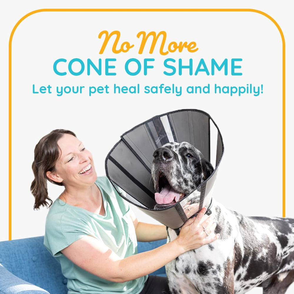 ZenPet recovery cone soft padding reduces rubbing and stress during rest.
