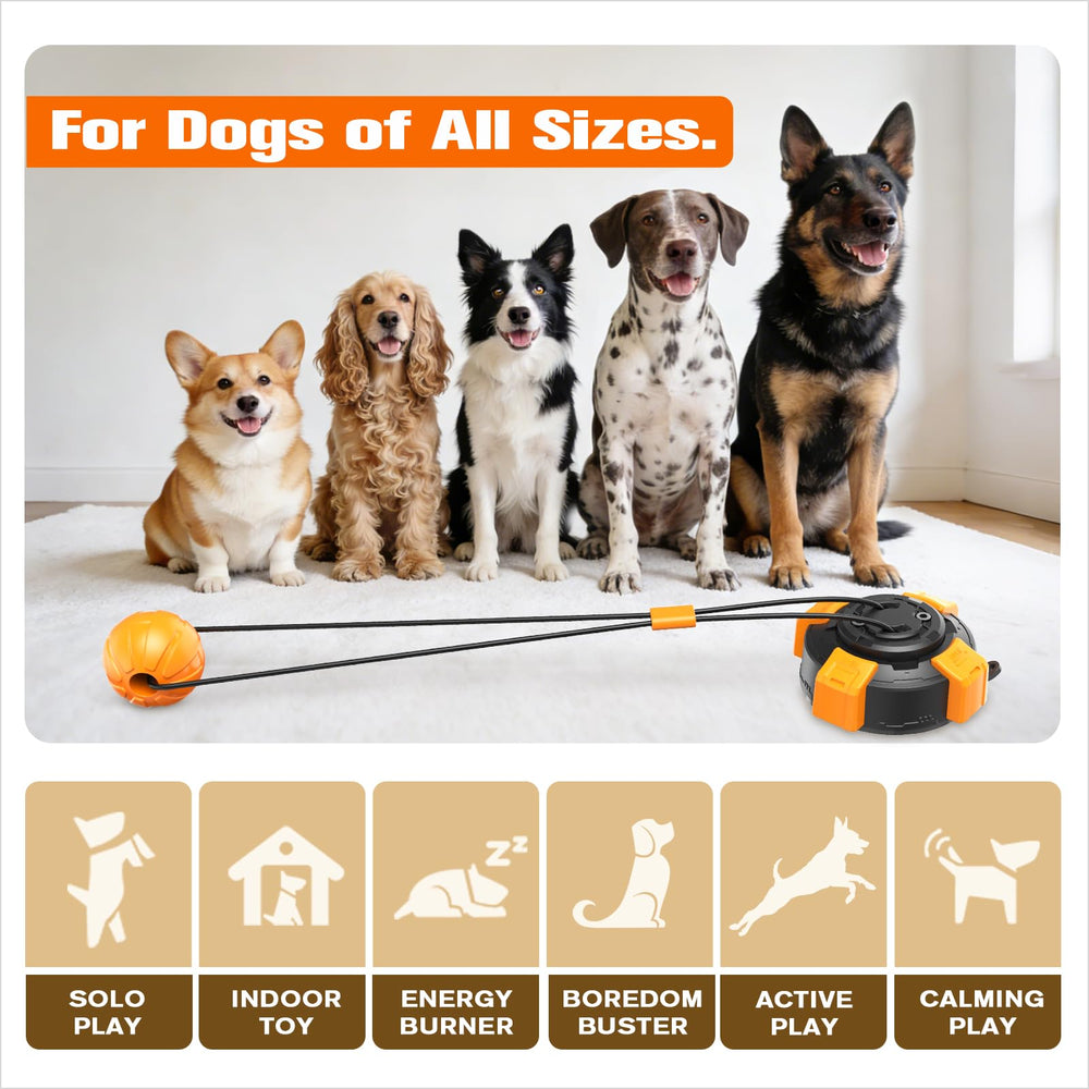 Zensrij toy designed for indoor adventures and outdoor use on patios and yards.