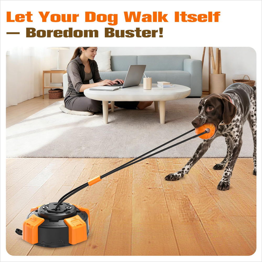 Zensrij molar ball provides 360° dental cleaning while your dog chews.
