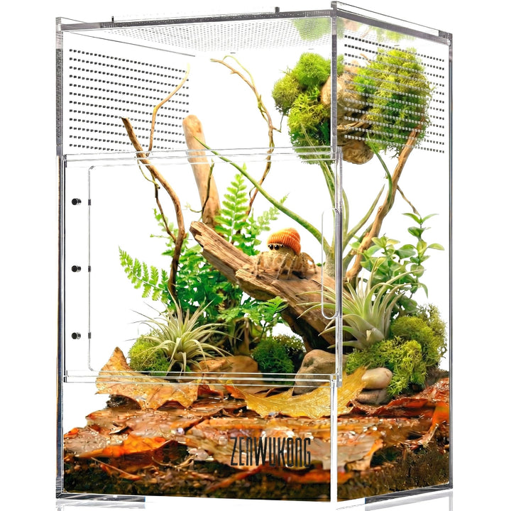 ZENWUKONG jumping spider enclosure front view for easy observation during feeding