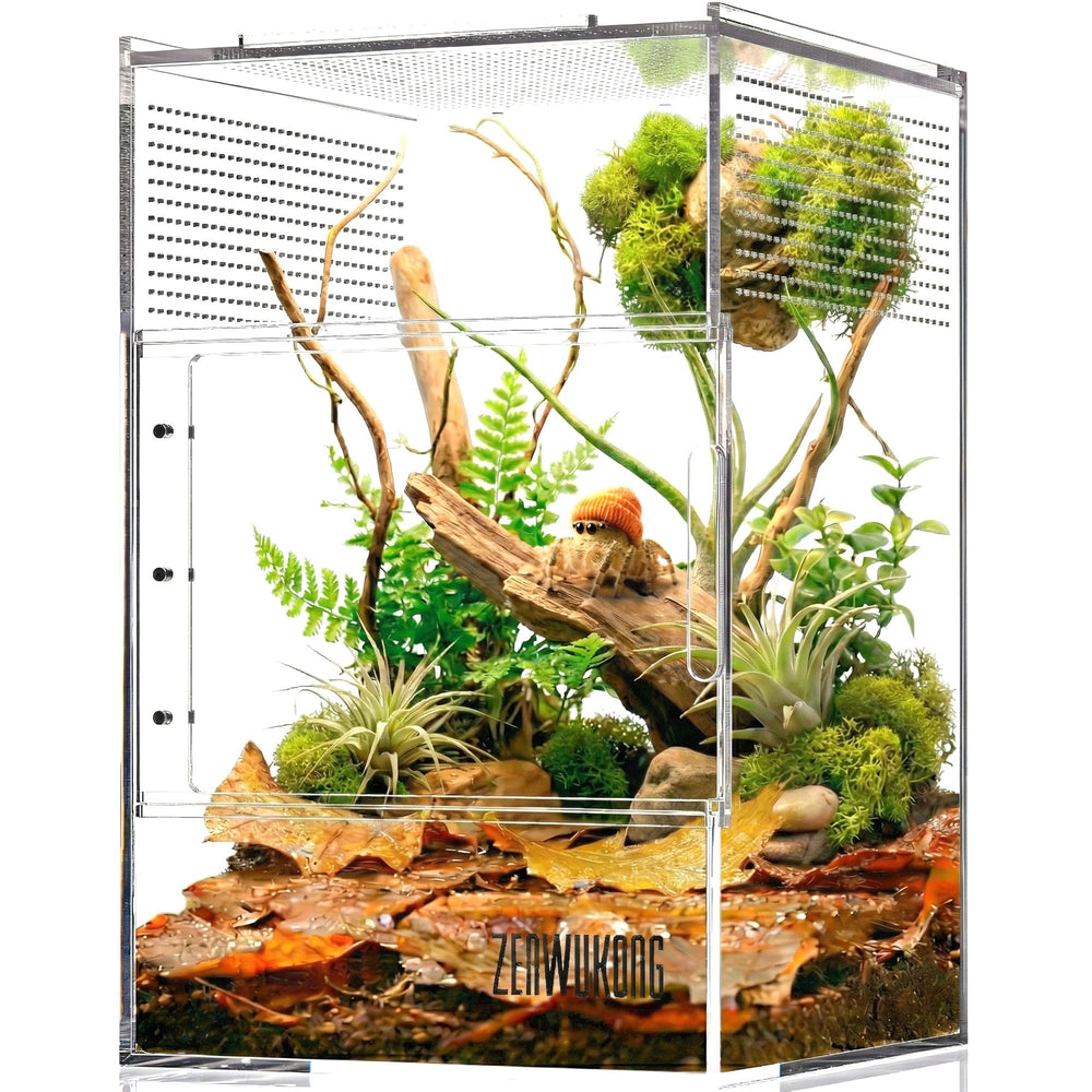 ZENWUKONG jumping spider enclosure front view for easy observation during feeding