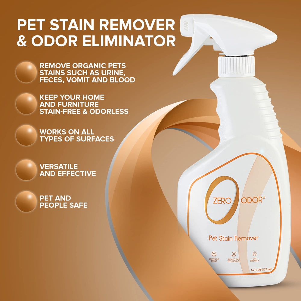 Sofa treatment with Zero Odor to refresh furniture.