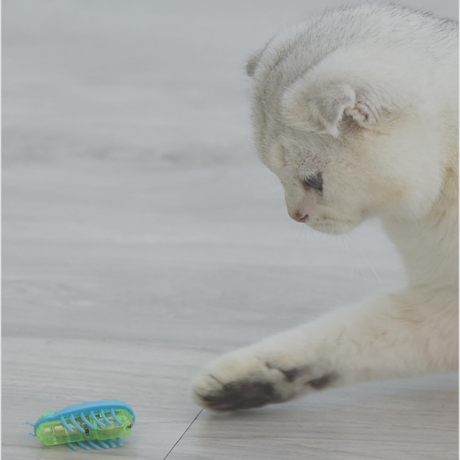 Zerodis cat toy for home use in small spaces, compact and safe
