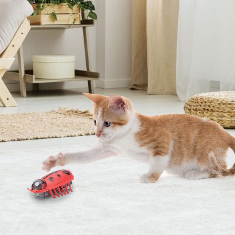 Zerodis colorful seven-color cat toy set for varied play