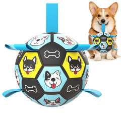 ZestPulse dog ball with straps enables interactive fetch and training outdoors