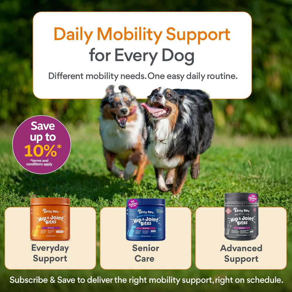 Zesty Paws 90 count packaging designed for ongoing joint support