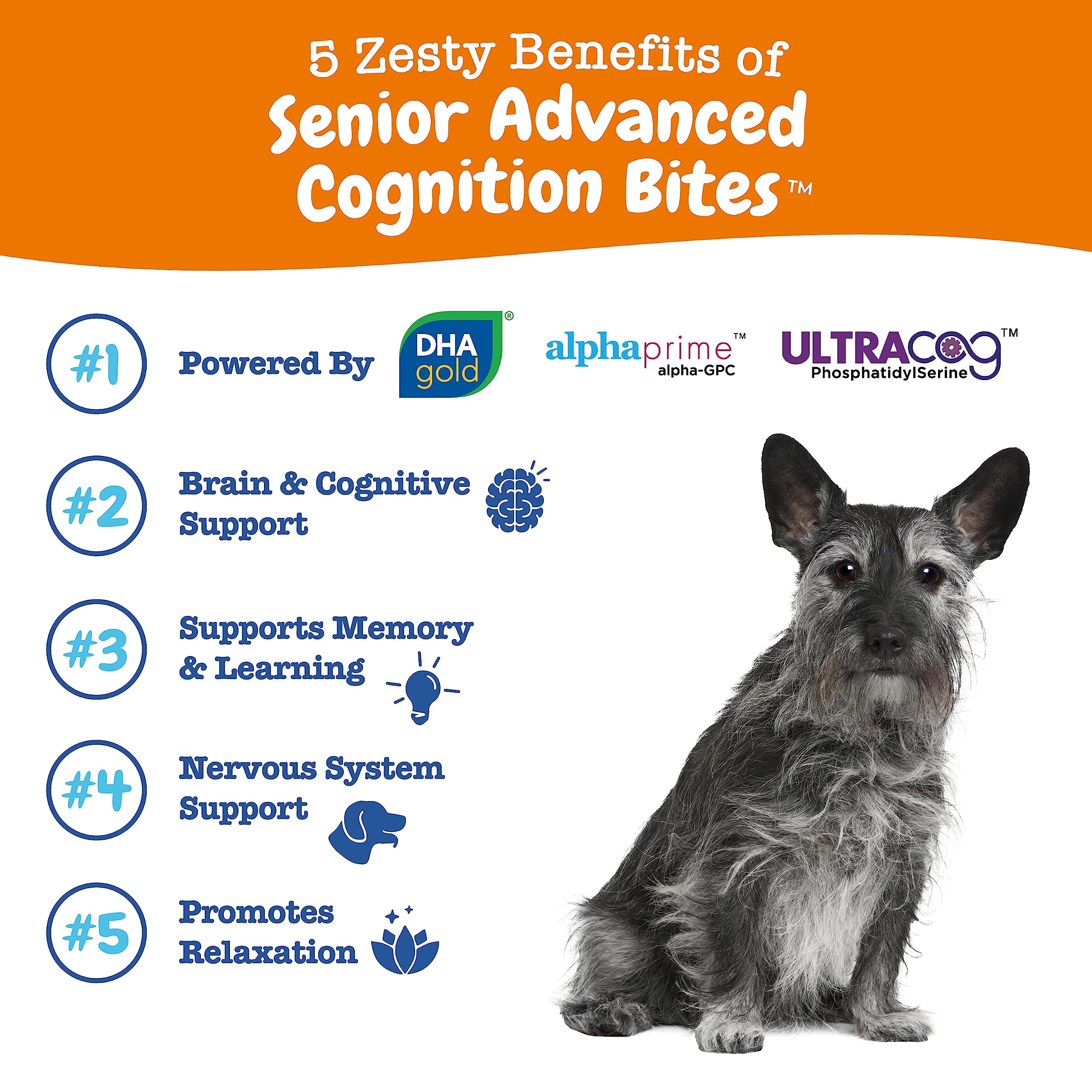 Zesty Paws Advanced Cognition Soft Chews chicken flavor for tasty cognitive support