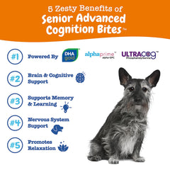 Zesty Paws Advanced Cognition Soft Chews chicken flavor for tasty cognitive support