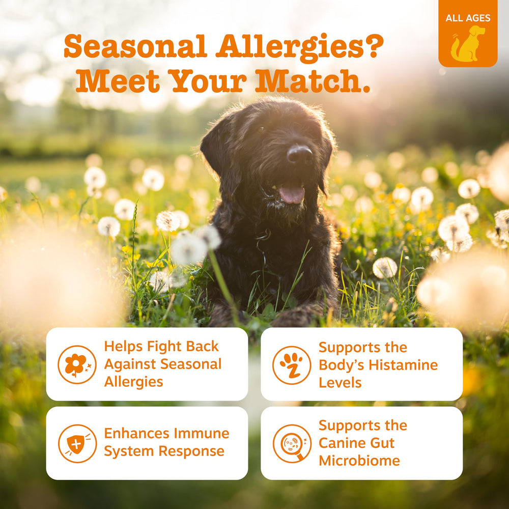Zesty Paws Allergy Immune Bites ingredients closeup highlights probiotics and immune support.