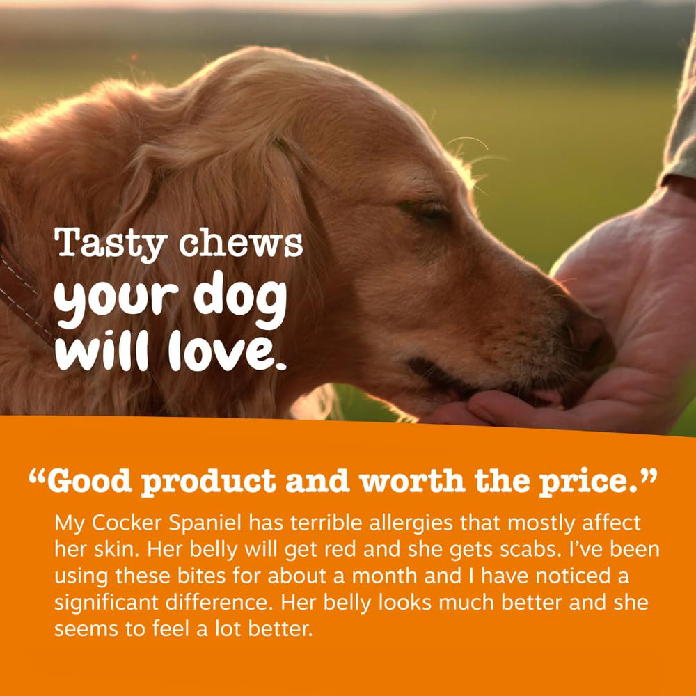 Zesty Paws Allergy Immune Bites omega-3 image highlights EPA and DHA benefits.