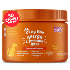 Zesty Paws Allergy Relief Chews bottle showing skin and gut support for dogs.