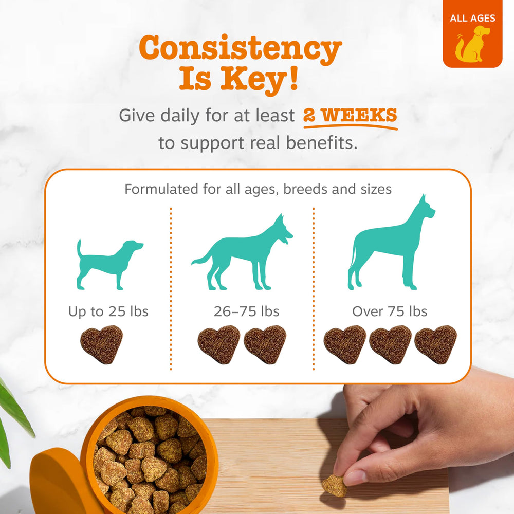 Zesty Paws Calming Chews featuring Ashwagandha for natural stress support.