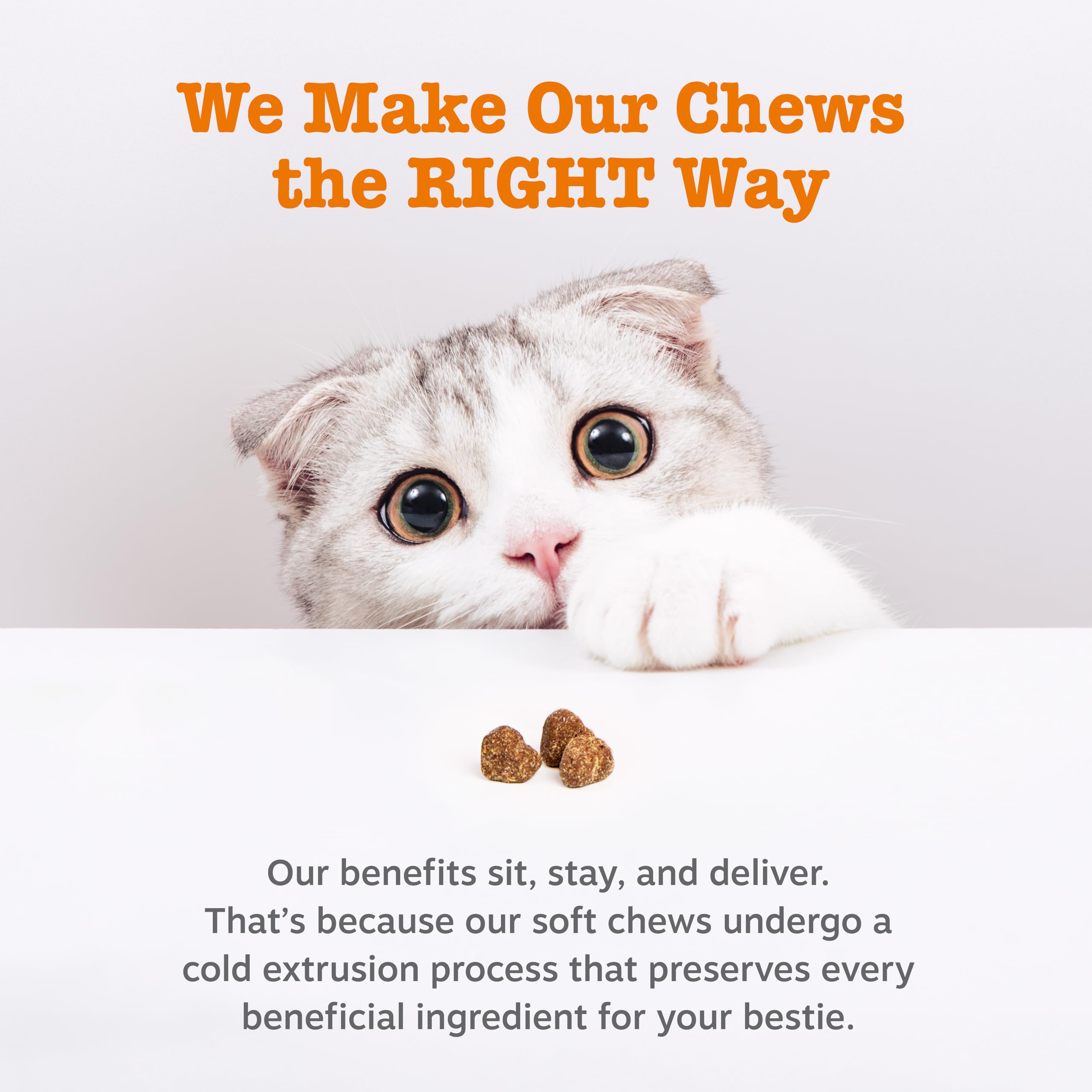 Zesty Paws Calming Chews cat thiamine supports normal stress signs