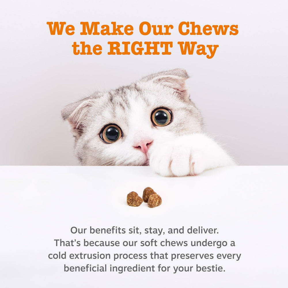 Zesty Paws Calming Chews cat thiamine supports normal stress signs