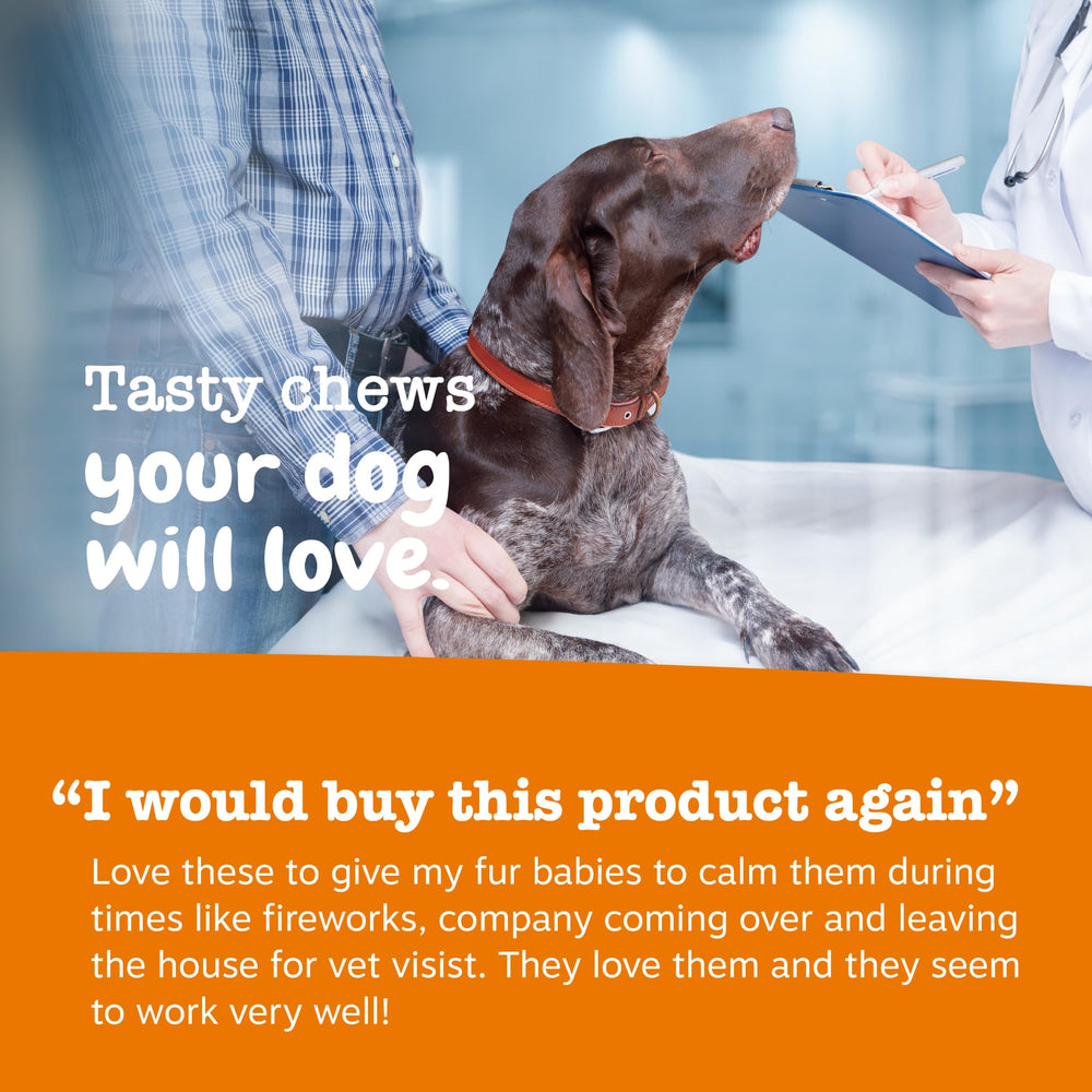 Zesty Paws calming chews closeup feature melatonin and Ashwagandha for anxious moments.