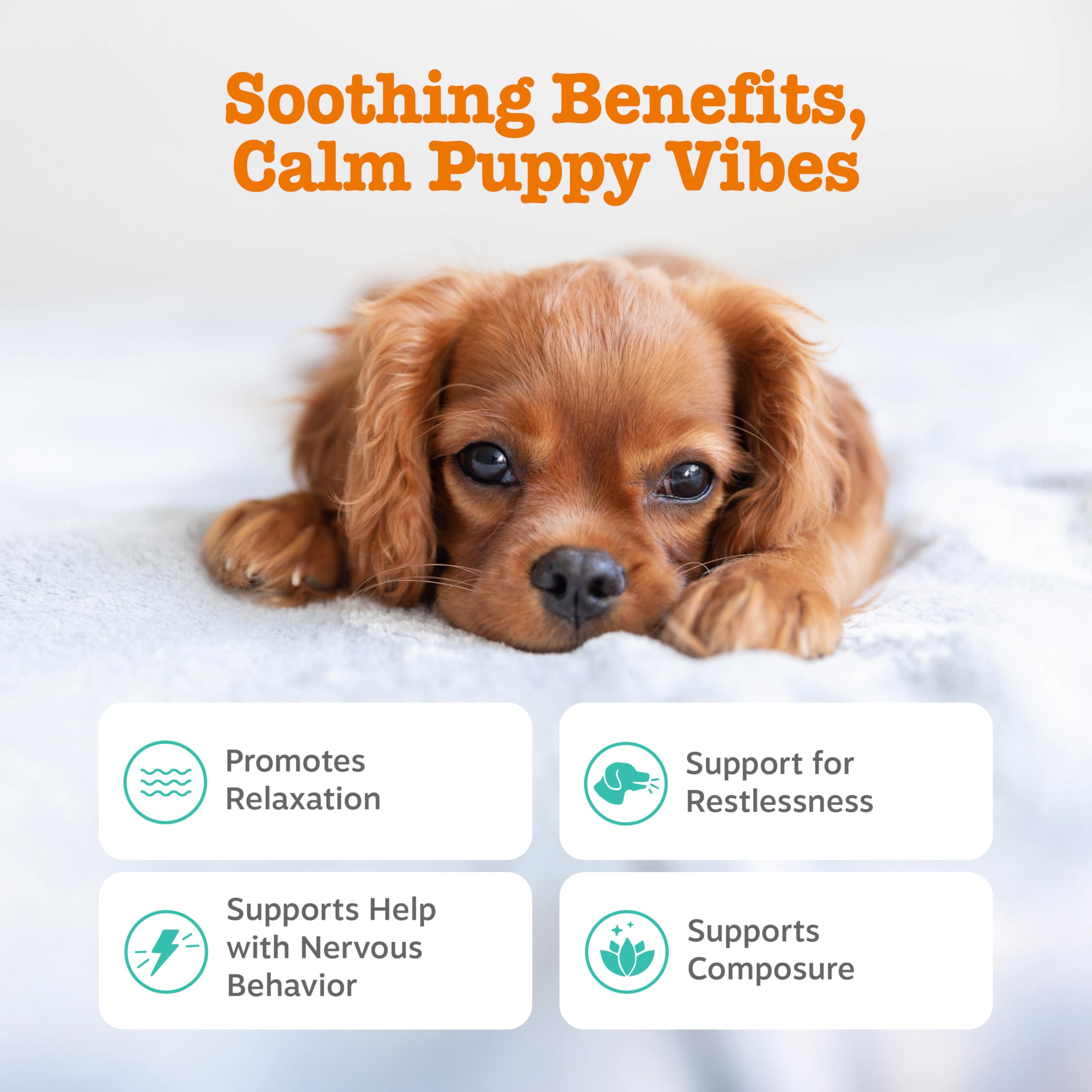 Zesty Paws Calming Chews closeup turkey chew promoting gentle relaxation.