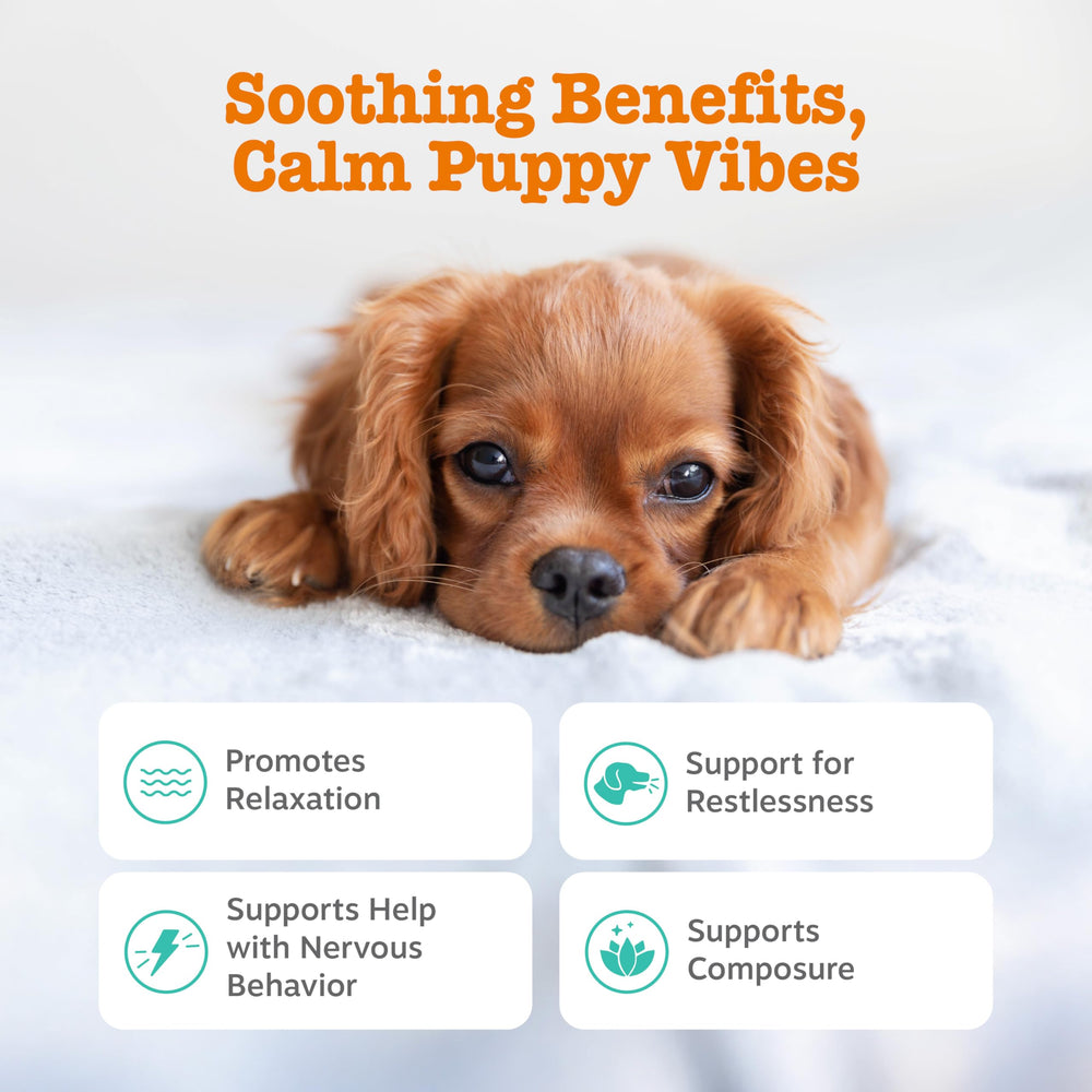 Zesty Paws Calming Chews closeup turkey chew promoting gentle relaxation.