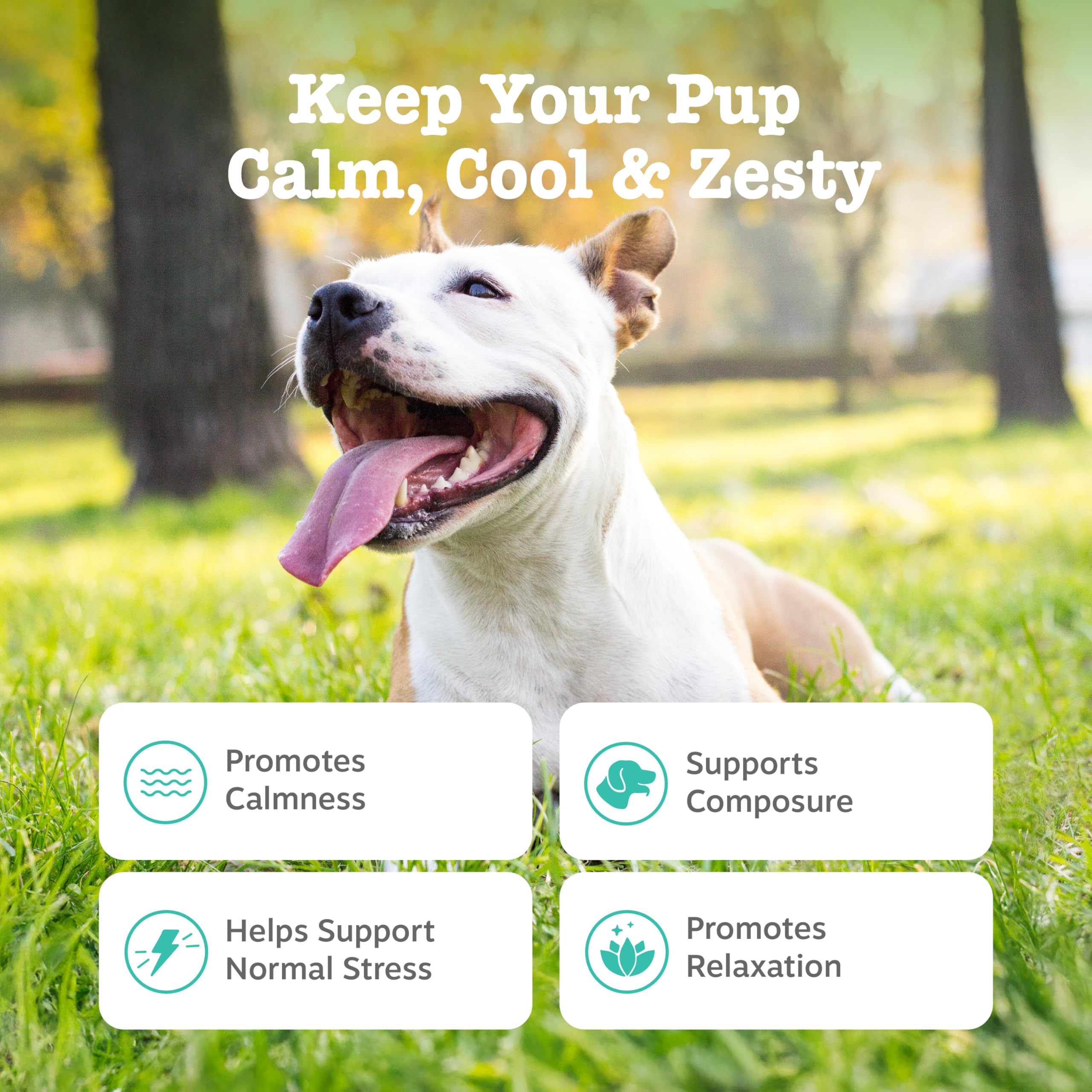 Zesty Paws Calming Chews soft chews ready for a calm dog at home.