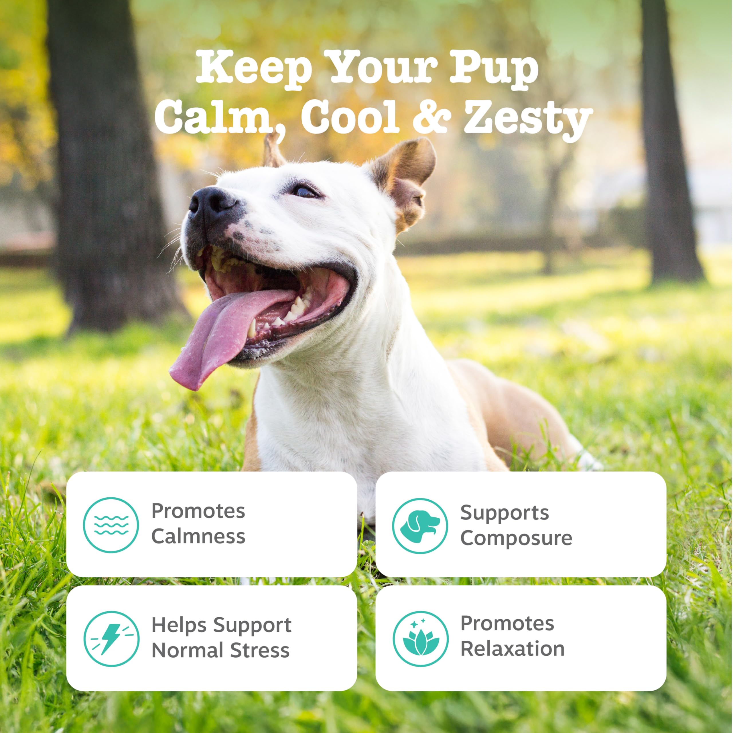 Zesty Paws Calming Chews dog serving showing treats for stressful moments.