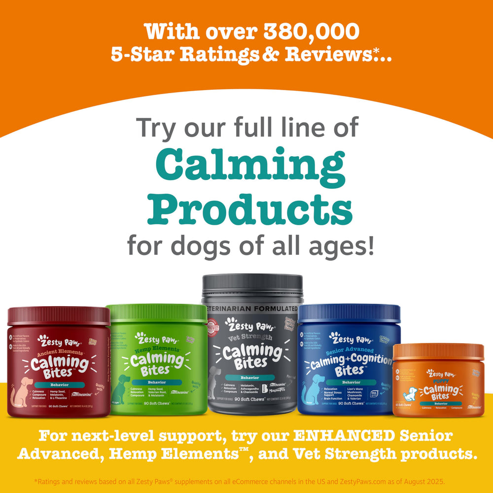 Fireworks scene illustrates everyday calm support for dogs with Zesty Paws.