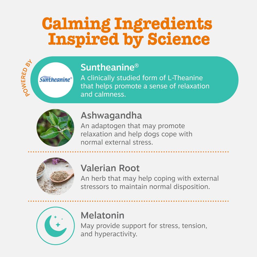 Hemp seed powder and botanicals shown support natural calm from Zesty Paws.