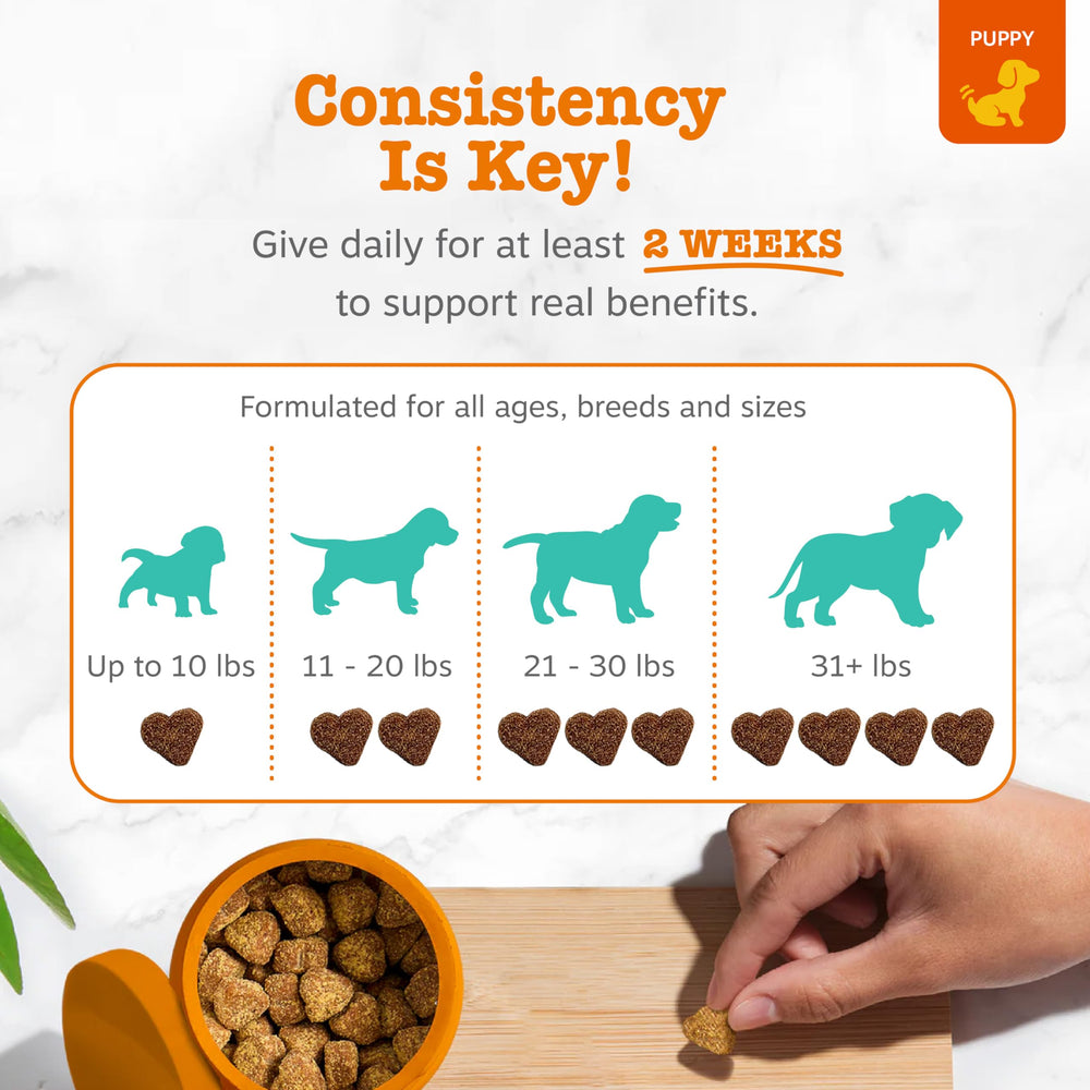 Zesty Paws Calming Chews packaging front highlighting turkey flavor and count.