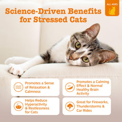 Close-up texture of Zesty Paws Calming Mousse, showing creamy consistency cats enjoy
