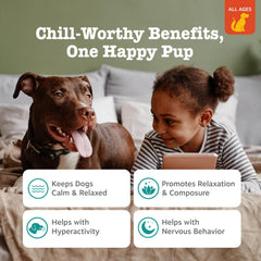 Closeup of Zesty Paws calming soft chews chicken flavor enticing dogs.