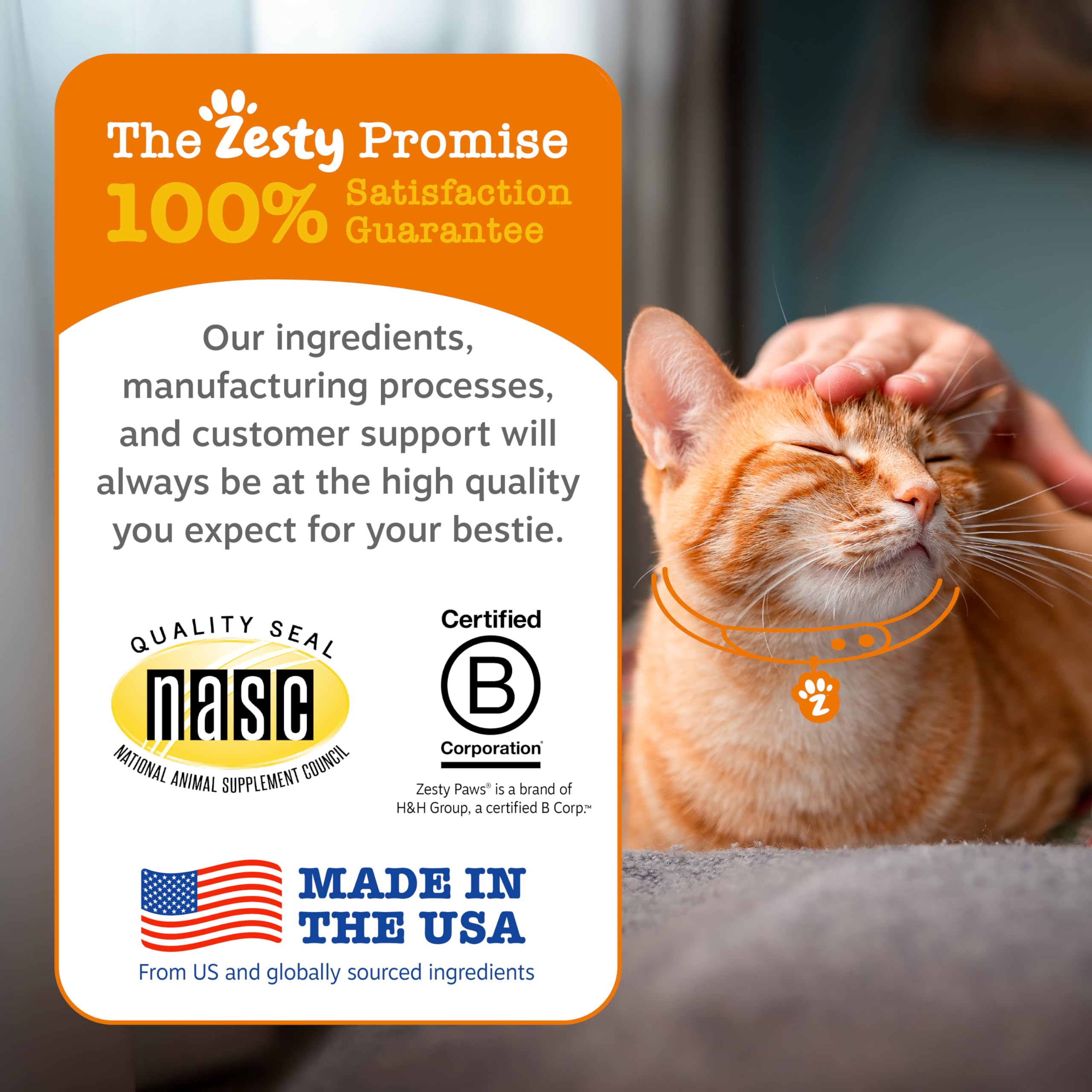 Zesty Paws cat feeling energized after supplement snack