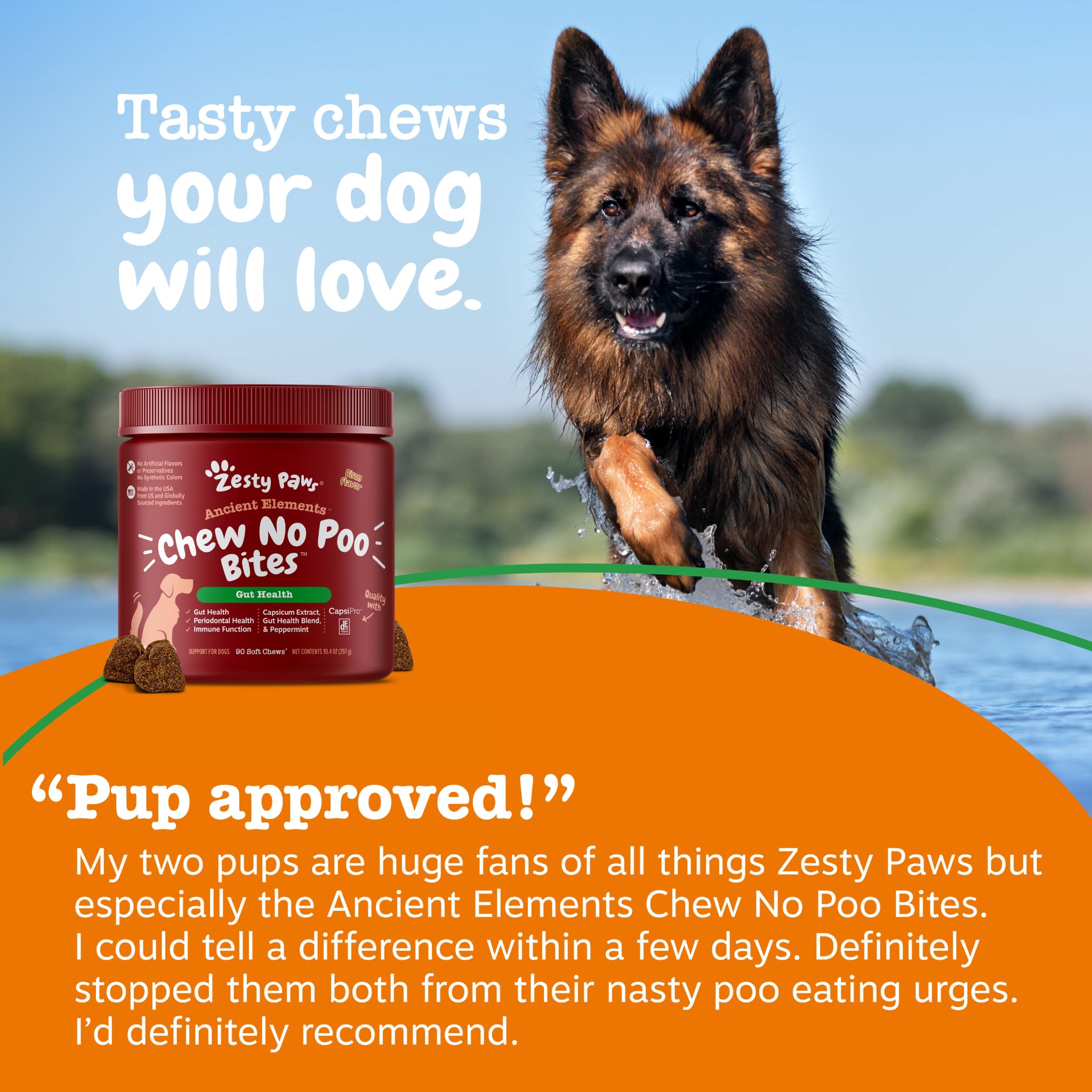 Zesty Paws Chew No Poo Bites 1 Billion CFU DE111 on label.
