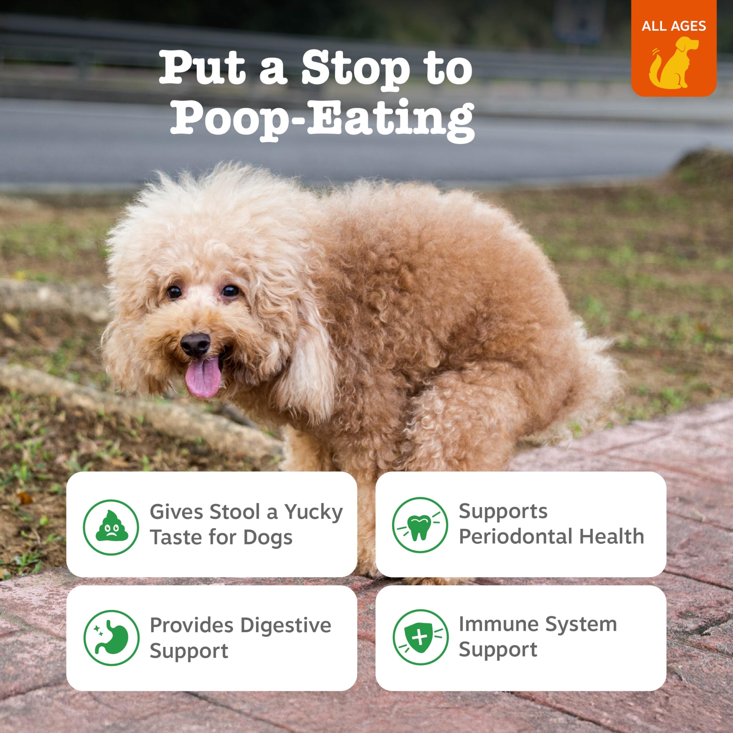 Zesty Paws Chew No Poo Bites dog chew close-up highlighting tasty texture for pets
