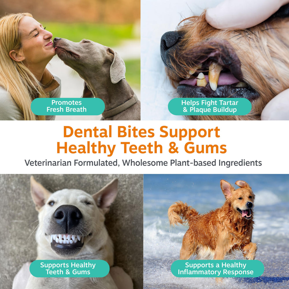 Zesty Paws Clean Breath chews with brown kelp support healthy gums
