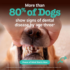 Zesty Paws Clean Breath chews peppermint oil deliver fresh breath