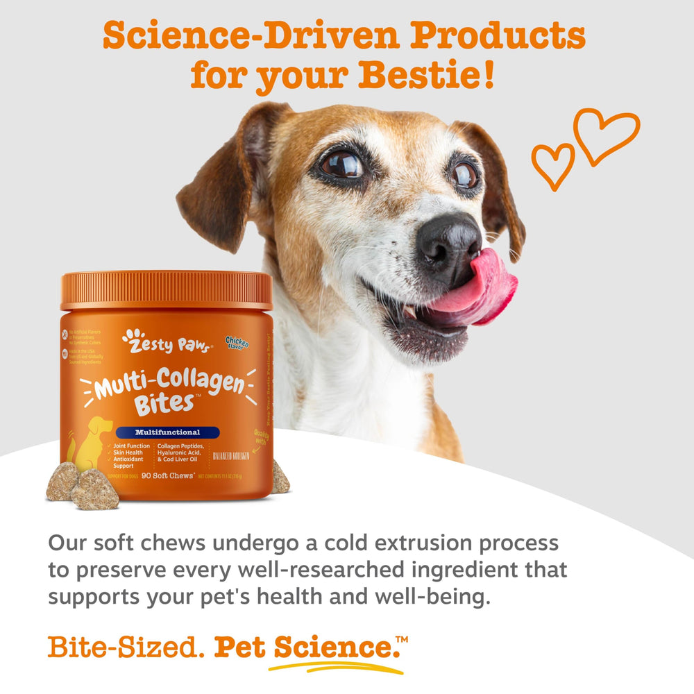 Zesty Paws CoQ10 blend supports heart and liver health in a daily chew.