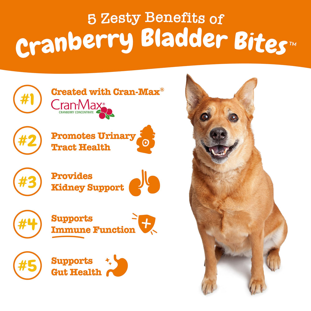 Zesty Paws cranberry chews in bowl for dog wellness and digestion.