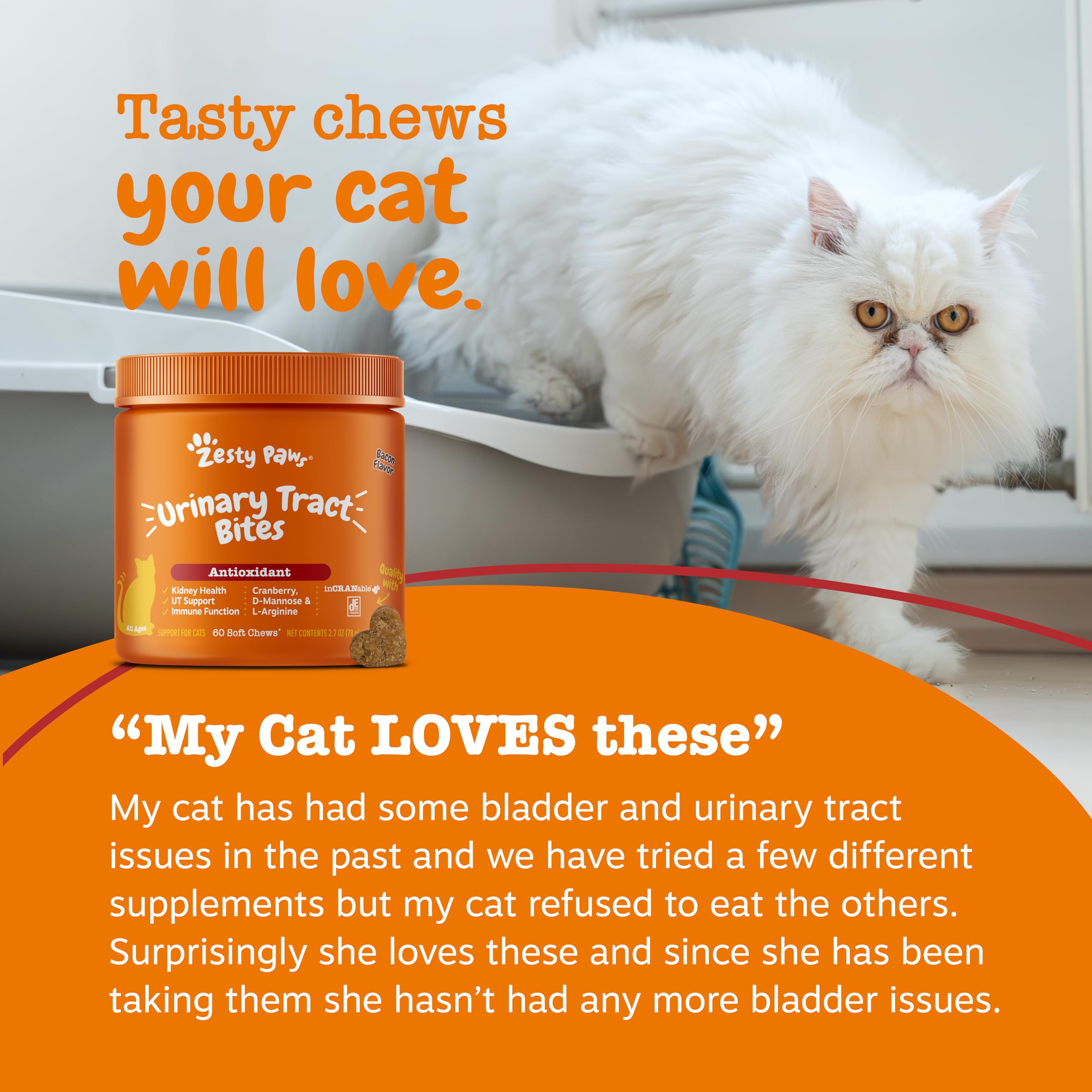 Zesty Paws Cranberry Urinary Bites vitamin B6: added immune system support for pets.