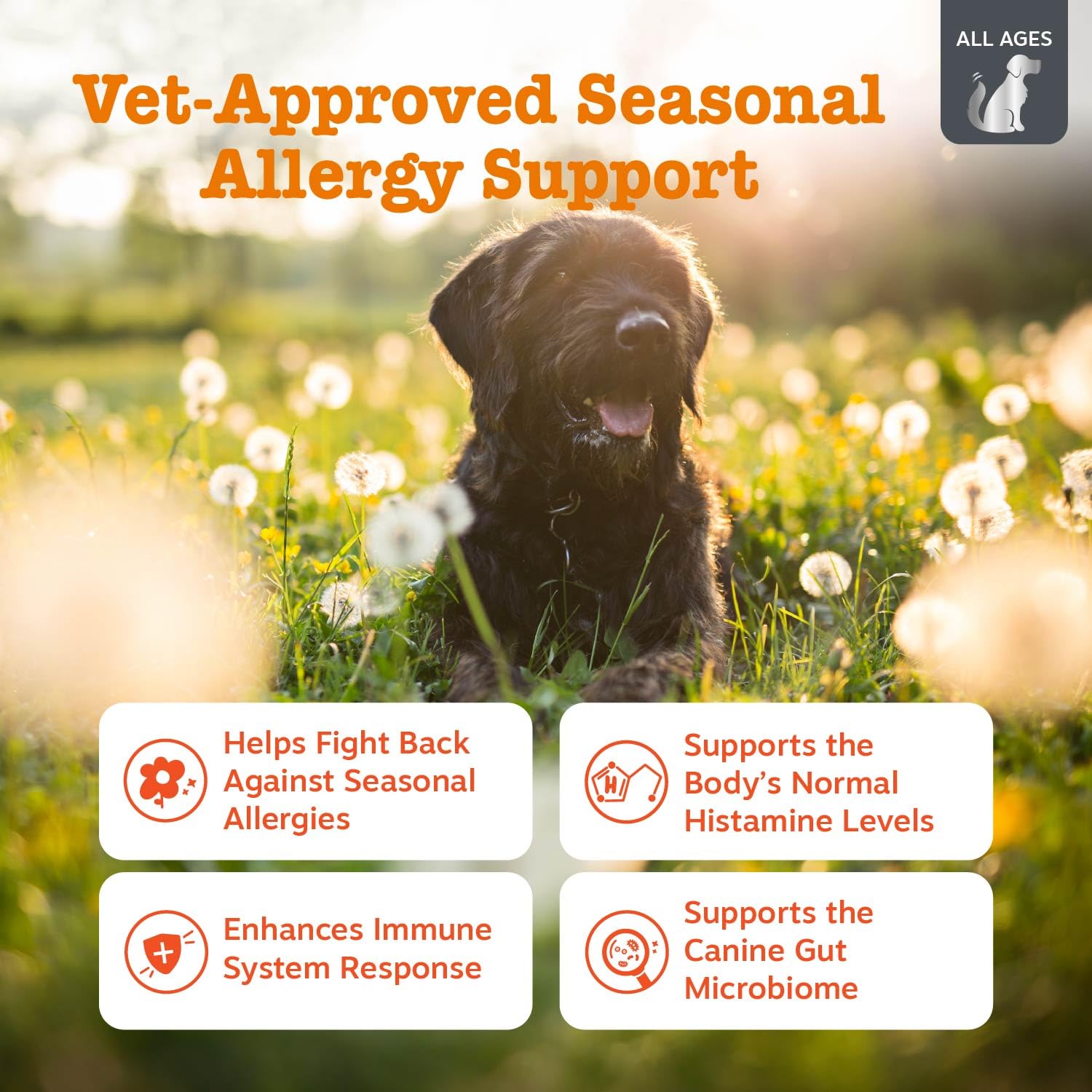 Zesty Paws Vet Strength chews texture close-up for itch relief potential.