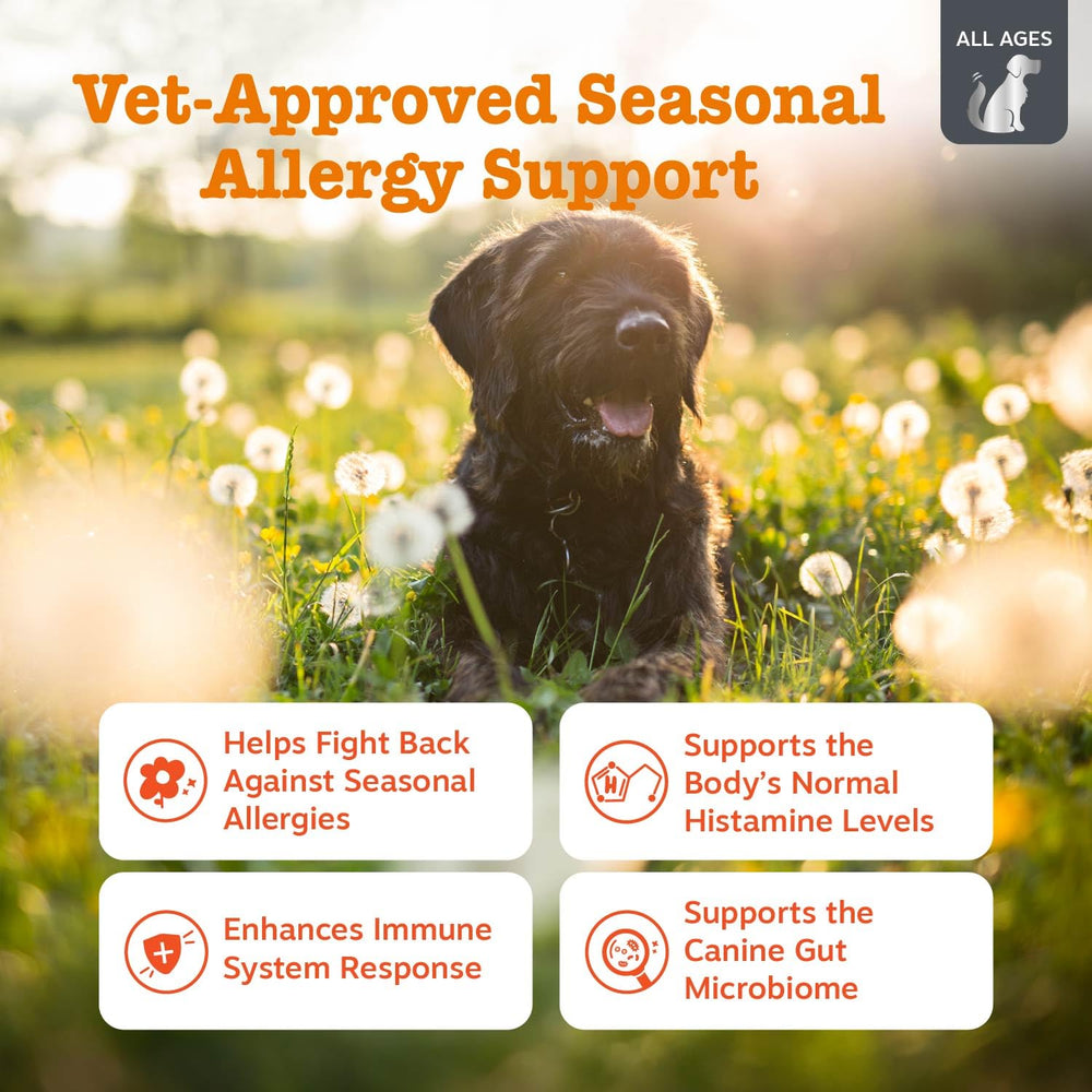 Zesty Paws Vet Strength chews texture close-up for itch relief potential.