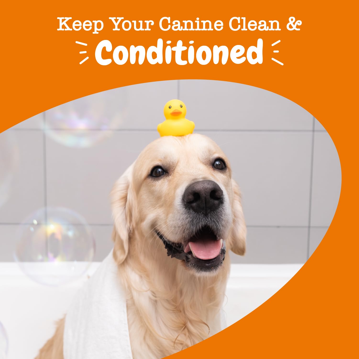 Conditioned coat helps reduce shedding and dandruff buildup.