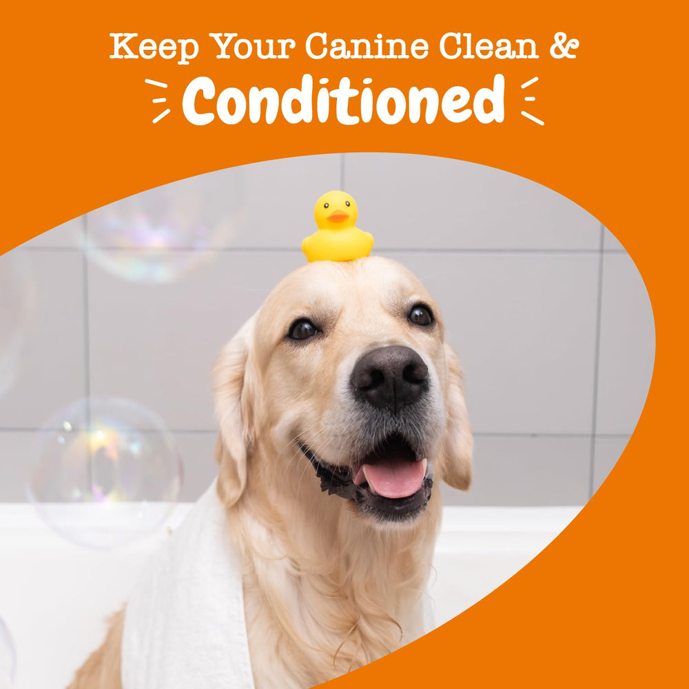 Conditioned coat helps reduce shedding and dandruff buildup.