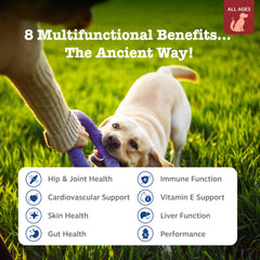 Zesty Paws bottle closeup emphasizes chewable texture that dogs enjoy as part of a routine