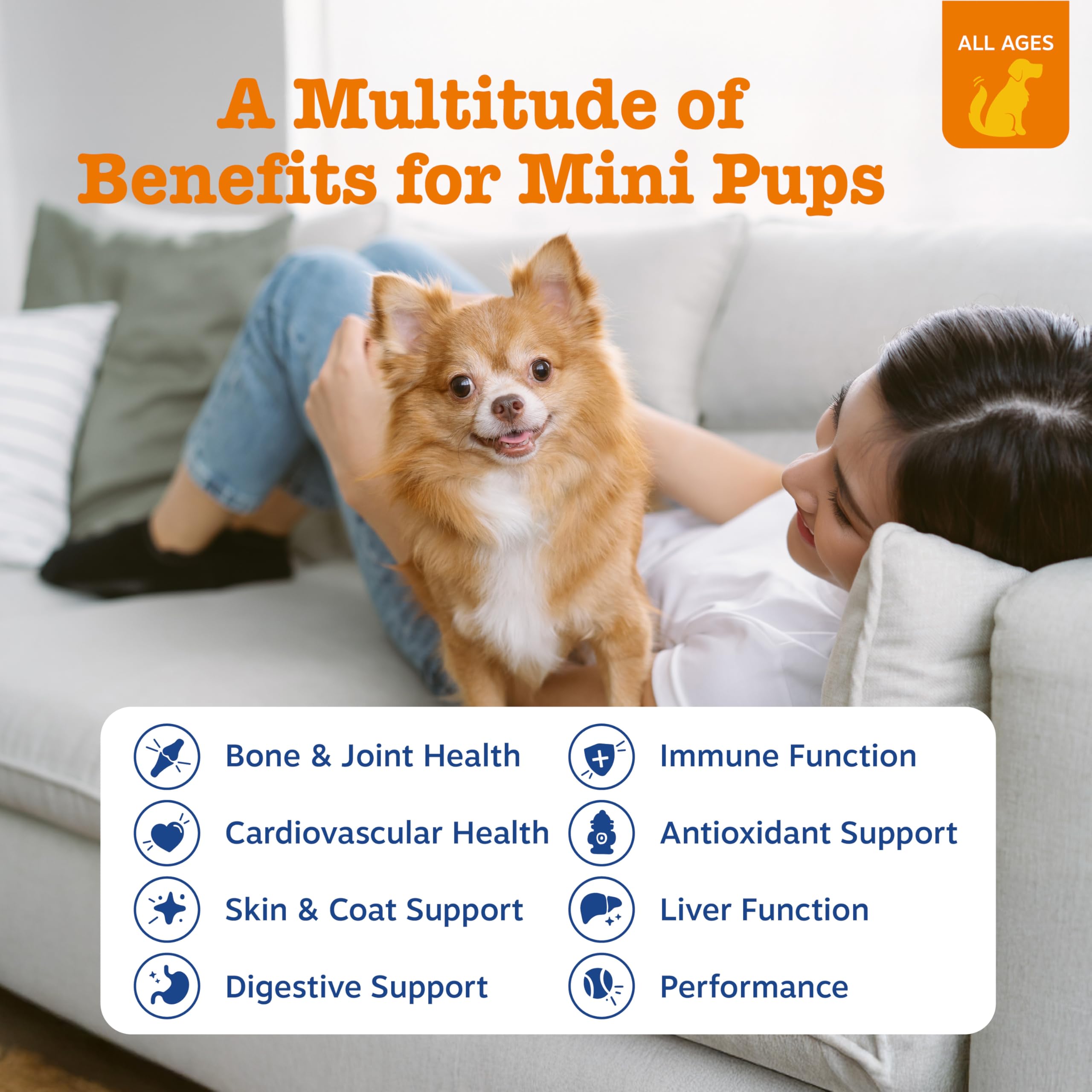 Zesty Paws multivitamin bottle overview for puppies and seniors.