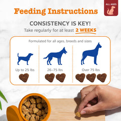 Zesty Paws dosage spoon image communicates simple daily serving for consistent use