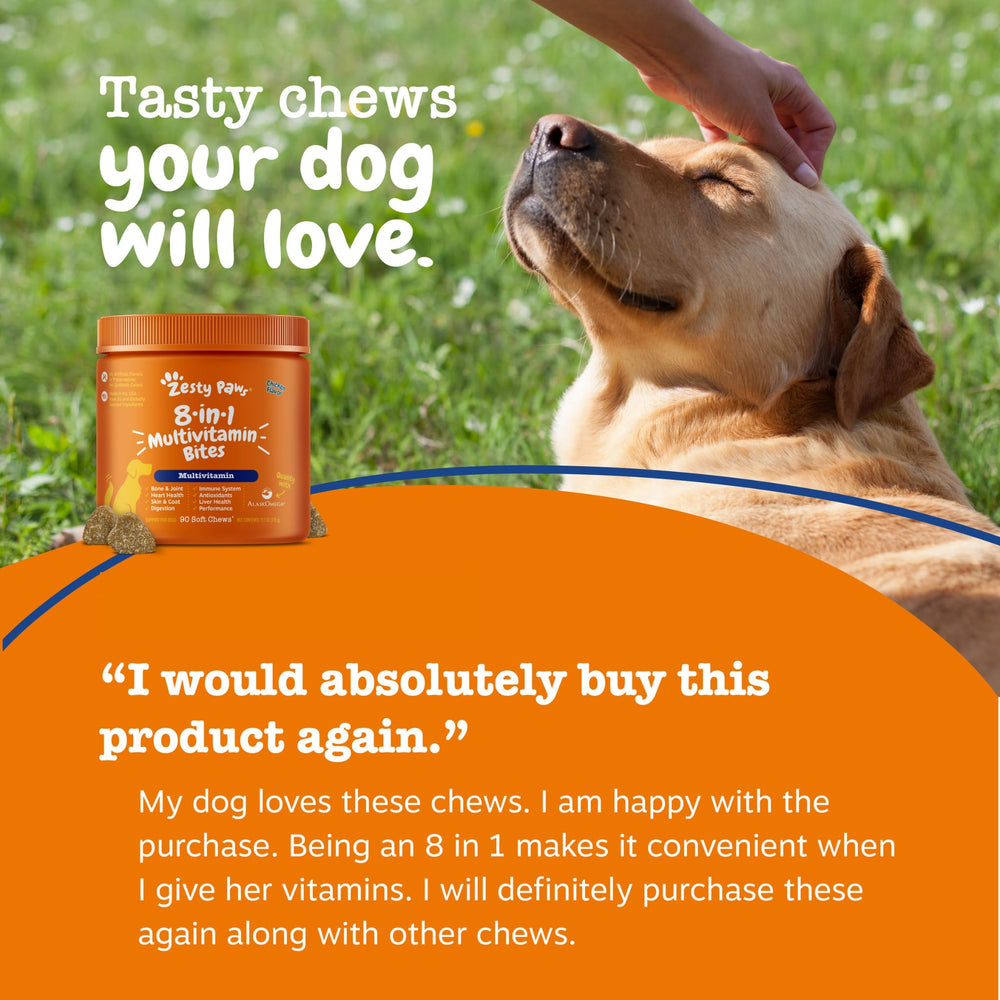 Zesty Paws senior mobility focus bottle for aging dogs