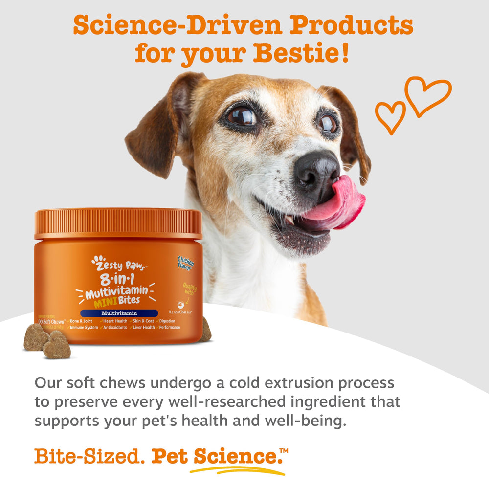 Zesty Paws skin and coat image with cod liver oil benefits.