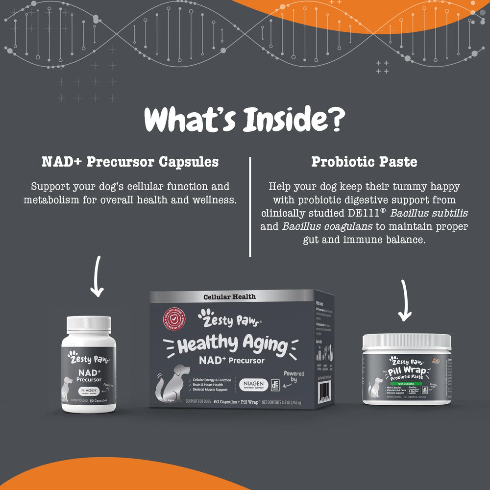 Zesty Paws dog muscle health pack highlights recovery benefits.
