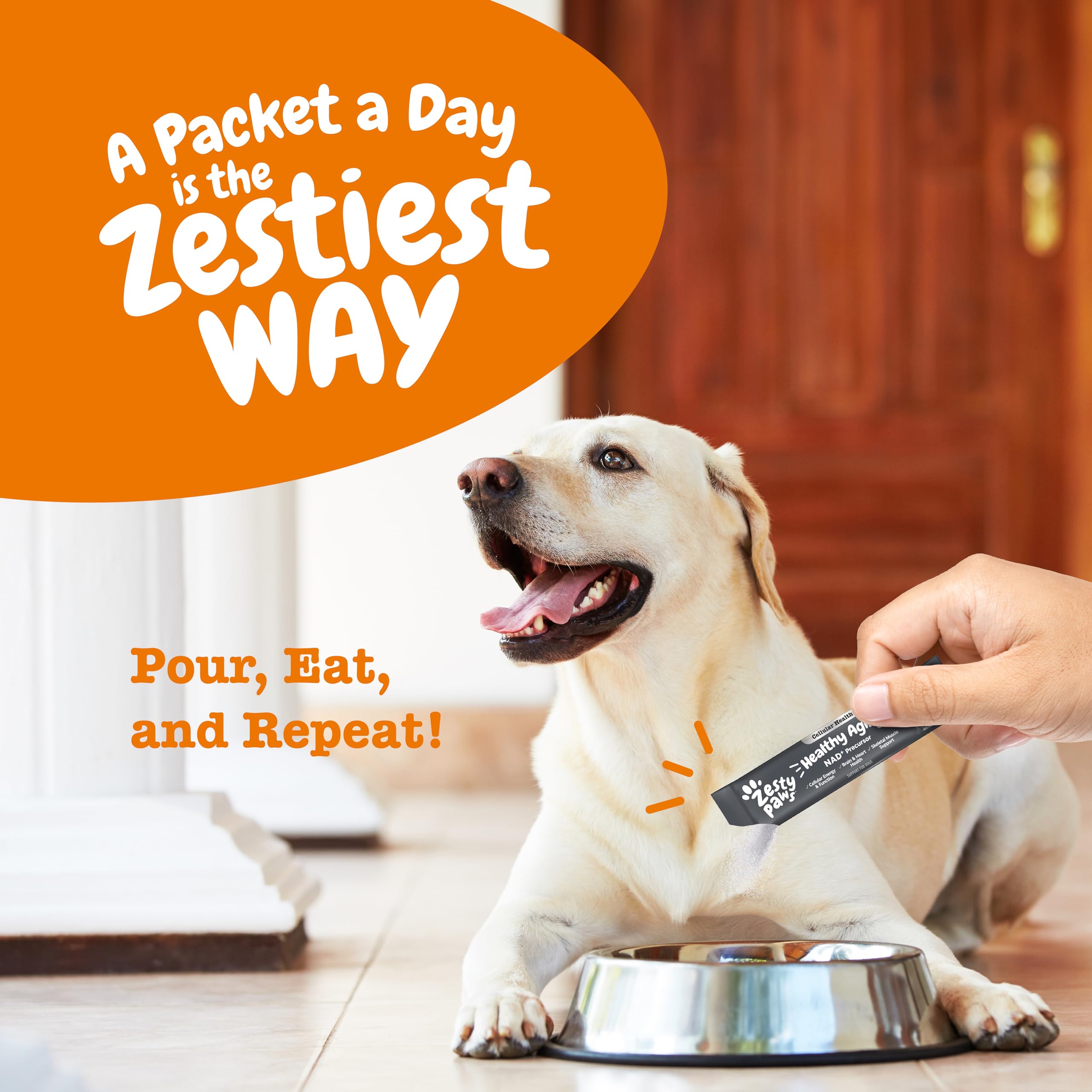 Zesty Paws dog resting after play showcases recovery support from NAD+ precursor.