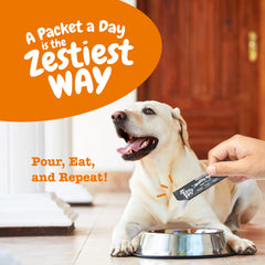 Zesty Paws dog resting after play showcases recovery support from NAD+ precursor.
